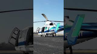 I bought two Dolphin helicopters [upl. by Emyaj]