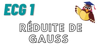 Matrices  cours 16 ECEECS  réduite de Gauss [upl. by Ellehcyar962]