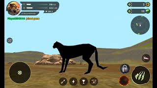 the cheetah gameplay [upl. by Eniamert]