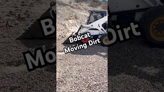 Bobcat moving dirt bobcatequipment dirtwork fieldwork satisfyingvideo [upl. by Ettennil]