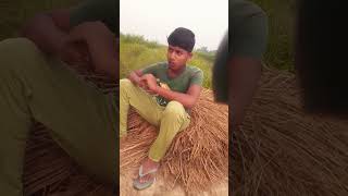 dadu totara comedy varshaofficial funny varsha fun varshasaxena love mrsvarshaofficial [upl. by Frierson]