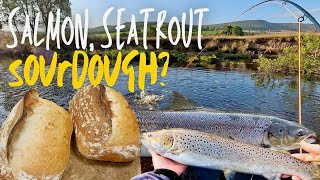 Loaves and Fishes Salmon and sea trout fishing on the River Coquet [upl. by Frodeen]