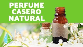 Cómo hacer PERFUME NATURAL CASERO  Elaboración de PERFUMES NATURALES [upl. by Aniroc]