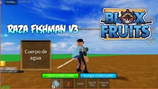 EVOLUCIONANDO LA RAZA FISHMAN A LA V3 EN BLOX FRUIT 🤙 [upl. by Odrareg287]