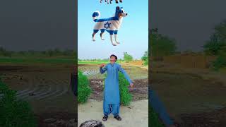 Bakra lare bado bati subscribe youtubeshorts shorts 🤲🤲❤️❤️ [upl. by Martell]