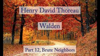 Henry David Thoreau Walden  Brute Neighbors Audiobook [upl. by Akinaj]