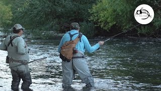 Fly Fishing the Malleo River  ARGENTINA [upl. by Belloir]