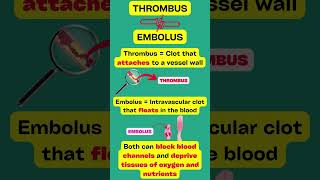 Thrombus VS Embolus EXPLAINED [upl. by Eimile]