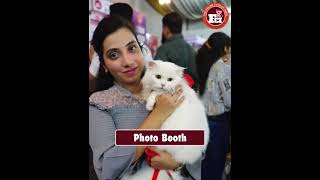 Participate in Fci Championship Cat Show Ahmedabad 8th Dec 2024 Eka Club [upl. by Anividul674]