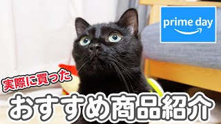 【超お得 】Amazonプライムデーで買ってよかった、おすすめ猫グッズ・日用品を紹介！ [upl. by Mccallum338]