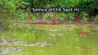 Beruntung  Terlalu banyak Ikan gabus menyambar di Satu titik Spot [upl. by Jany811]