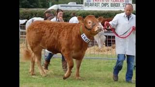 Brecon County Show [upl. by Yllatan]