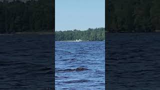 Seawind Amphib taking off from Graham Lake Maine [upl. by Htiel]