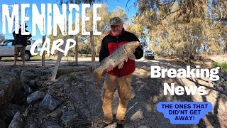 Carp Fishing  how to fish Menindee Lakes gold [upl. by Eziechiele]