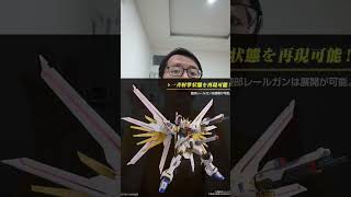 HG Mighty Strike Freedom Gundam gundam gunpla bandai mobilesuitgundam [upl. by Hrutkay]