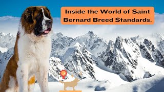 Unveiling Saint Bernard Breed Standards Characteristics Traits and More 🐾 [upl. by Tol279]