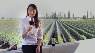 Malbec World Day  Zuccardi Valle de Uco [upl. by Michell]