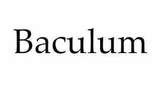 How to Pronounce Baculum [upl. by Petunia142]