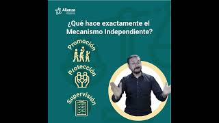 ¿Qué papel juega la sociedad civil para el cumplimiento del Artículo 33 de la CDPCD [upl. by Tima]