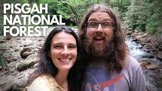 Why we LOVE Pisgah National Forest  ASHEVILLE NC [upl. by Fesuy]