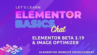 Elementor 319 and Image Optimizer [upl. by Ariait]