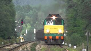 LHS ST4420342046 with long freight train in National Park Rp1 HD [upl. by Sorgalim416]