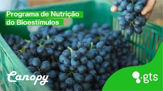 Programa de Nutrição e Bioestímulos [upl. by Clough]