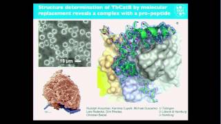 quotSingleMolecule Imagingquot by Henry Chapman DESYUniversity of Hamburg Germany [upl. by Lemraj]