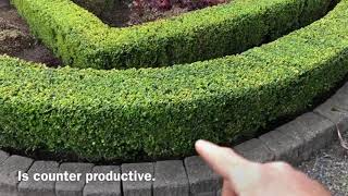 Top Strategy For Removing Trimmings And Clippings From Landscape Beds [upl. by Dottie320]