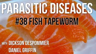 Parasitic Diseases Lectures 38 Fish Tapeworm [upl. by Nosral]