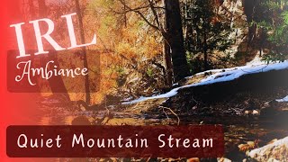 Quiet Mountain Stream  Peaceful IRL Ambiance  Deep Relaxation no music sleepstudymeditate [upl. by Ahtanamas]