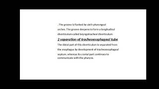 DEVELOPMENT OF RESPIRATORY SYSTEM EMBRYOLOGY OF RESPIRATORY SYSTEM [upl. by Ellebasi]