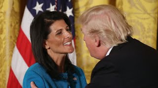 Nikki Haley gains momentum as alternative to Donald Trump [upl. by Alverta]