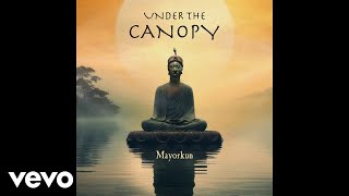 Mayorkun  Under The Canopy Official Audio [upl. by Rycca]