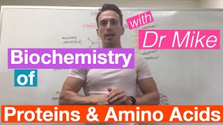 Proteins amp Amino Acids  Biochemistry [upl. by Mendelsohn389]