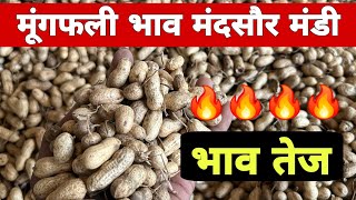 6 नवंबर 2024 मुंगफली का भाव मंदसौर मंडी। mungfali ka bhav mandsaur mandi groundnut  मुंगफली [upl. by Brit]