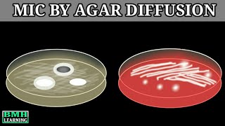 Determination Of MIC by Agar Diffusion Method  Antibiotic Assay By Agar diffusion Method [upl. by Aynotal]