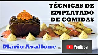 Tècnicas de Emplatado de Comidas [upl. by Mcgill794]