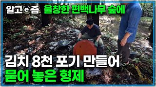 quot김치 버무리는 기간만 일주일이 걸려요quot 그래서 한상차림 6천 원 편백숲 한가운데 자리한 숲속 맛집의 비밀｜김장 시즌｜한국기행｜알고e즘 [upl. by Caroline]