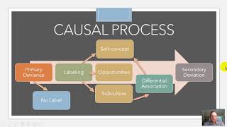 Labeling Theory [upl. by Eahcim]