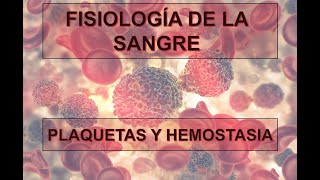 FISIOLOGÍA DE LA SANGRE PLAQUETAS Y HEMOSTASIA [upl. by Ttennaej]