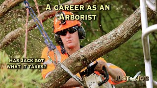 Arborist Careers [upl. by Aynna947]