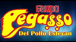 REFLEXIONA GRUPO PEGASSO [upl. by Mroz]