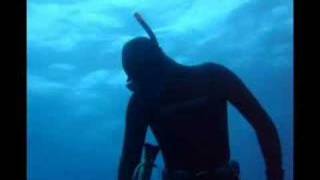 Spearfishing World Record Striped Marlin [upl. by Brade988]