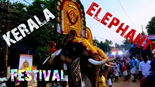 Temple  Festival  Kerala  Elephant  People  Spiritual  India  Video 10 shailpoints [upl. by Dredi679]