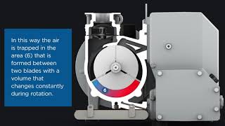 How does a rotary vane vacuum pump work [upl. by Odlanra]