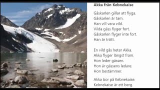 Ljudbok Nisse Holgersson kapitel 2 Akka från Kebnekaise [upl. by Euqinwahs363]