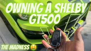 The struggles of owning a Shelby GT500 6months ownership [upl. by Allister]