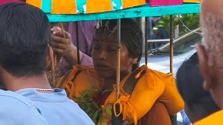 🌅 Ipoh Thaipusam 2024 Female Devotee Dances with Grace as Mayil Kavadi Bearer  A Rare Sight 🌟🦚 [upl. by Lennod]