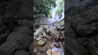 Beauty of Srilanka vajivlogs wennanivedaka nature lankaella waterfalls wennanivedaka4164 [upl. by Elrebmik]